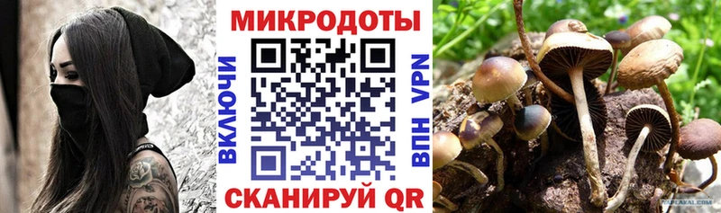 Псилоцибиновые грибы MAGIC MUSHROOMS Чайковский