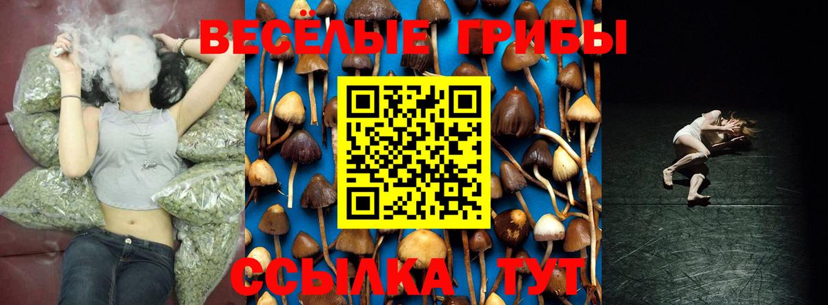 Псилоцибиновые грибы прущие грибы  наркота  Чайковский  Псилоцибиновые грибы ЛСД  Вход с VPN 
