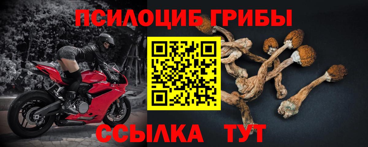 Галлюциногенные грибы ЛСД Чайковский